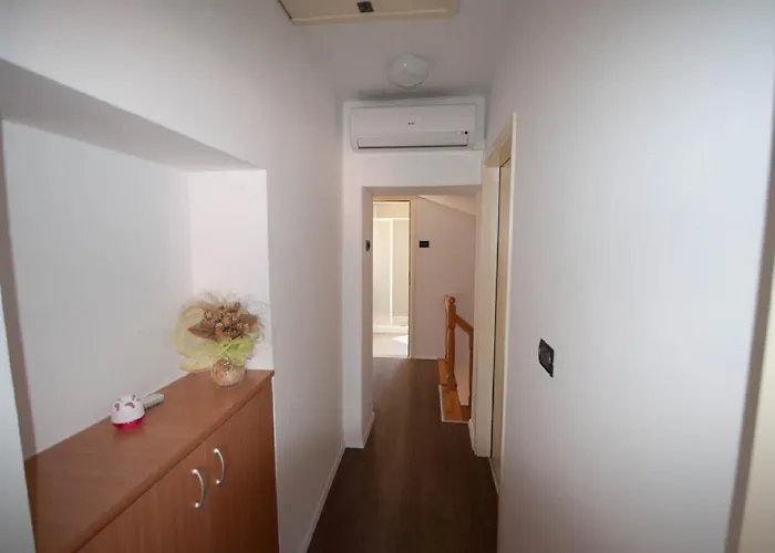 Dario 3* Novigrad Istria