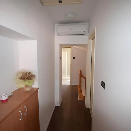 Dario 3* Novigrad Istria